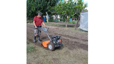 COMENZARON LOS TRABAJOS EN LA HUERTA MUNICIPAL